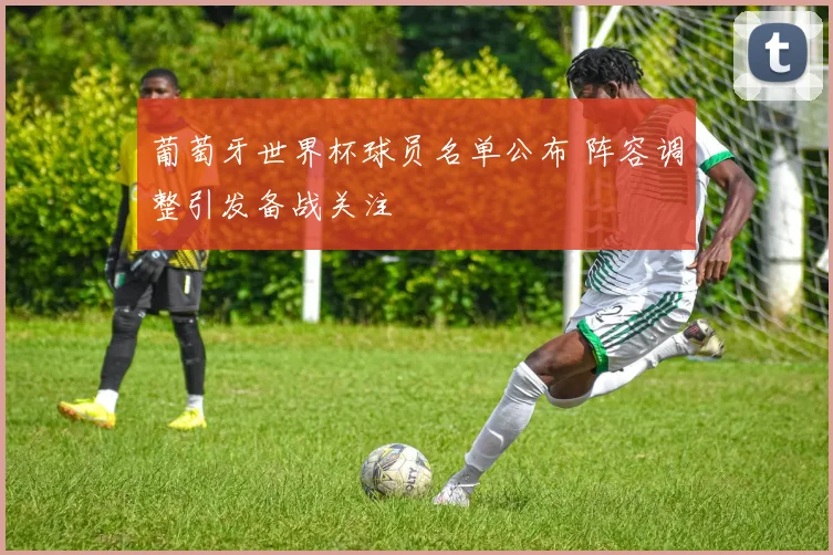 葡萄牙世界杯球员名单公布 阵容调整引发备战关注