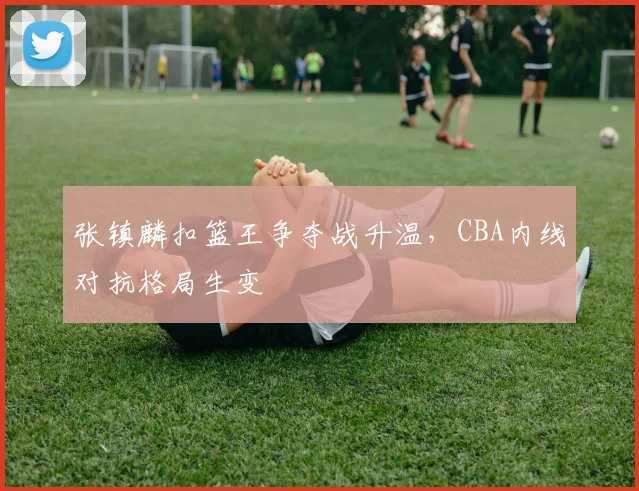 张镇麟扣篮王争夺战升温，CBA内线对抗格局生变