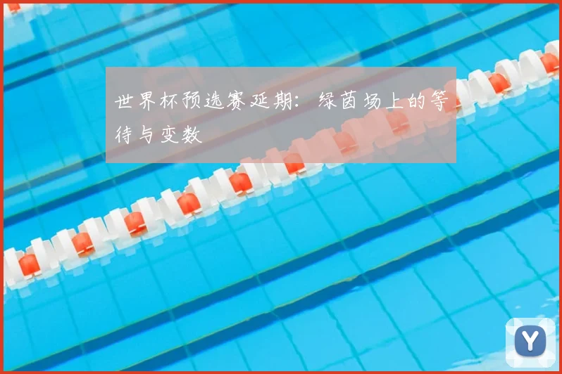 世界杯预选赛延期：绿茵场上的等待与变数