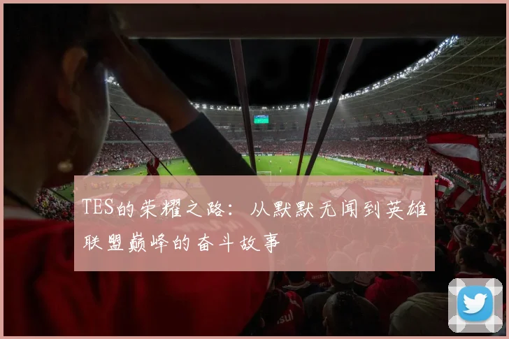 TES的荣耀之路：从默默无闻到英雄联盟巅峰的奋斗故事