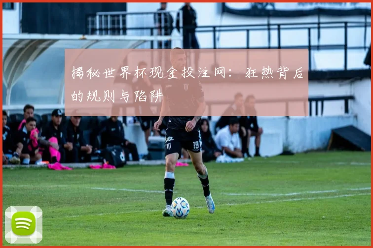 揭秘世界杯现金投注网：狂热背后的规则与陷阱